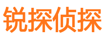 小金侦探公司